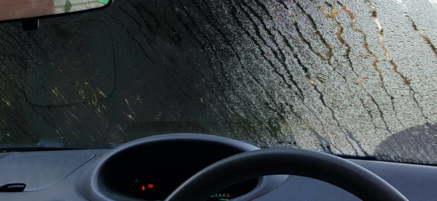 Почему потеет лобовое стекло: причины и профилактика