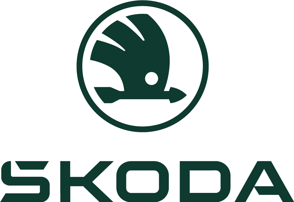 Диагностика турбины Škoda